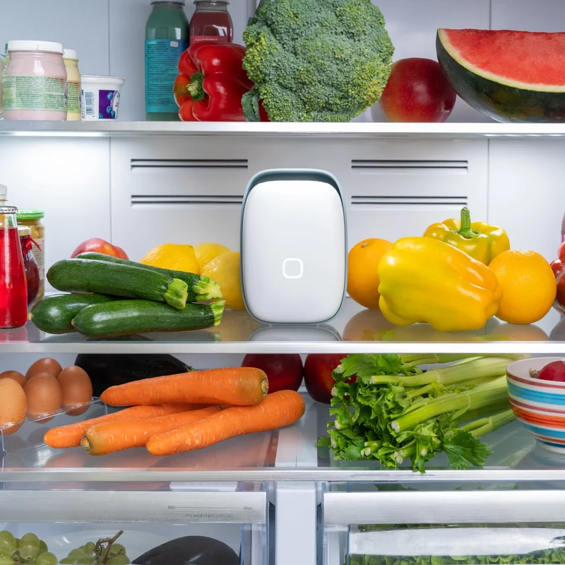 Vitesy Shelfy 2.0 Fridge Air Purifier & Odour Absorber