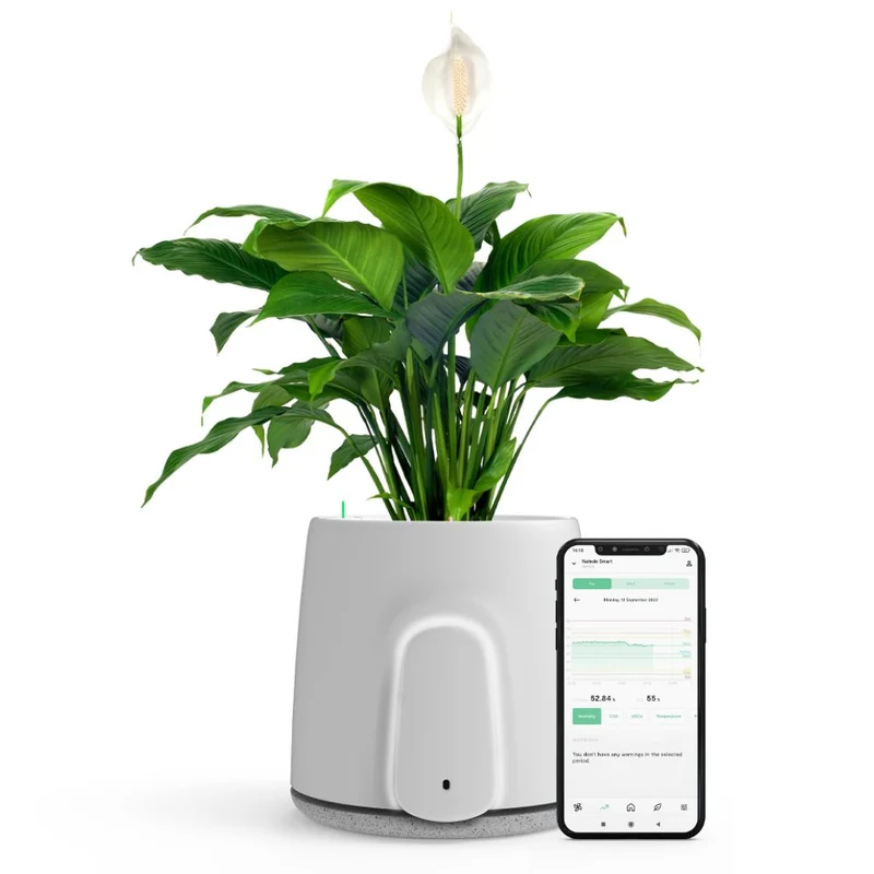 Vitesy Natede Smart Natural Air Purifier And Monitoring System