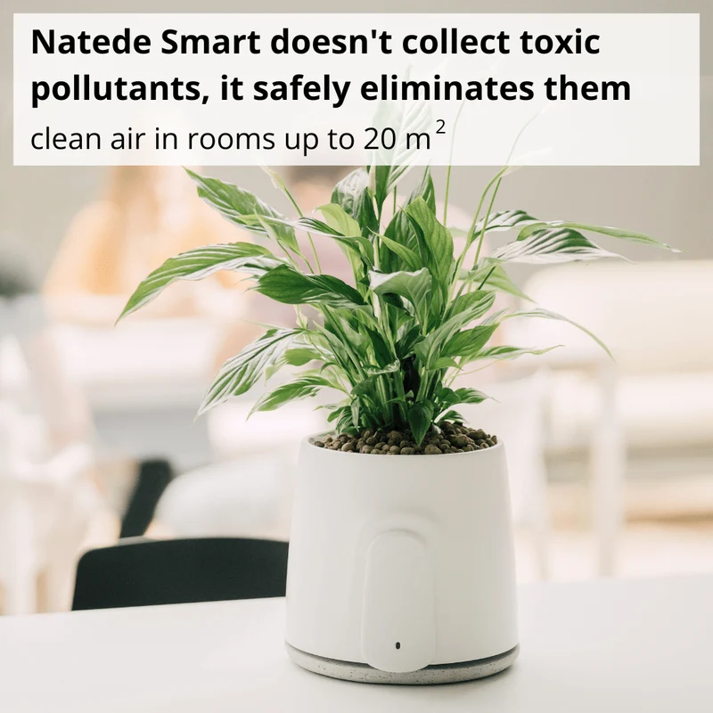 Vitesy Natede Smart Natural Air Purifier And Monitoring System