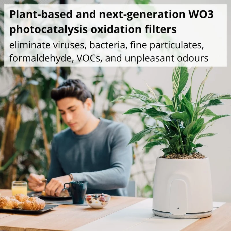 Vitesy Natede Smart Natural Air Purifier And Monitoring System