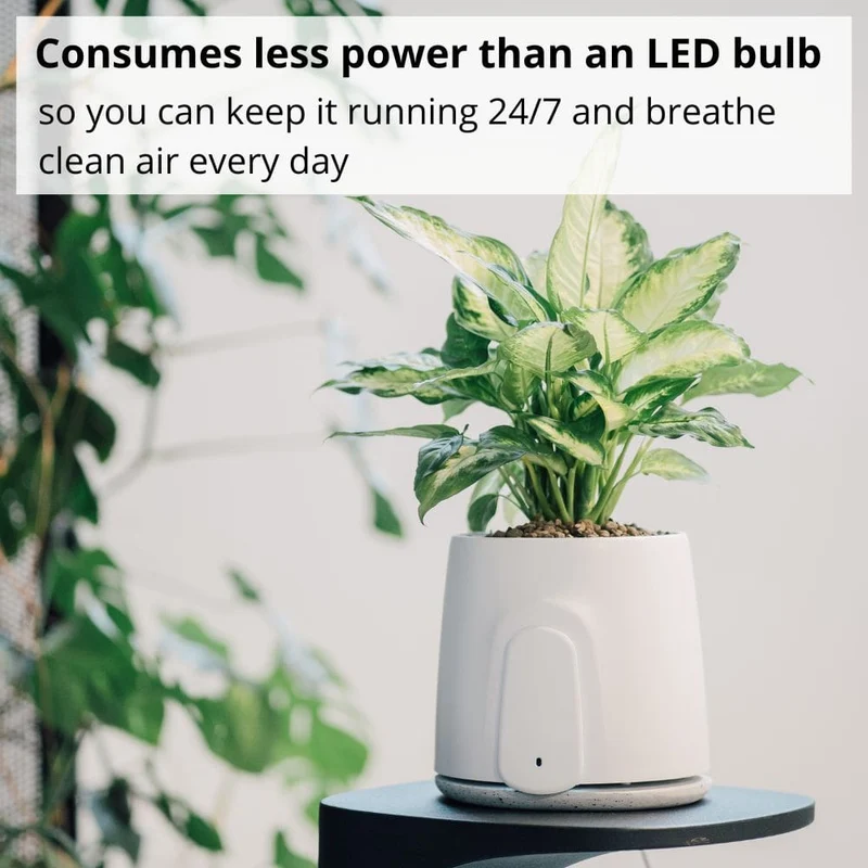 Vitesy Natede Smart Natural Air Purifier And Monitoring System