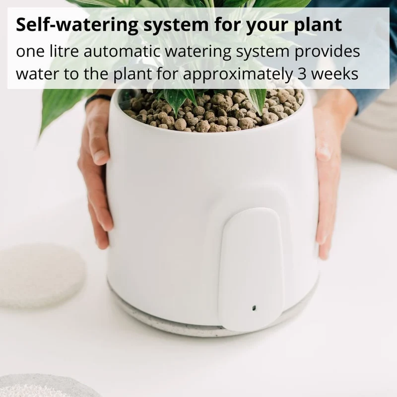Vitesy Natede Smart Natural Air Purifier And Monitoring System