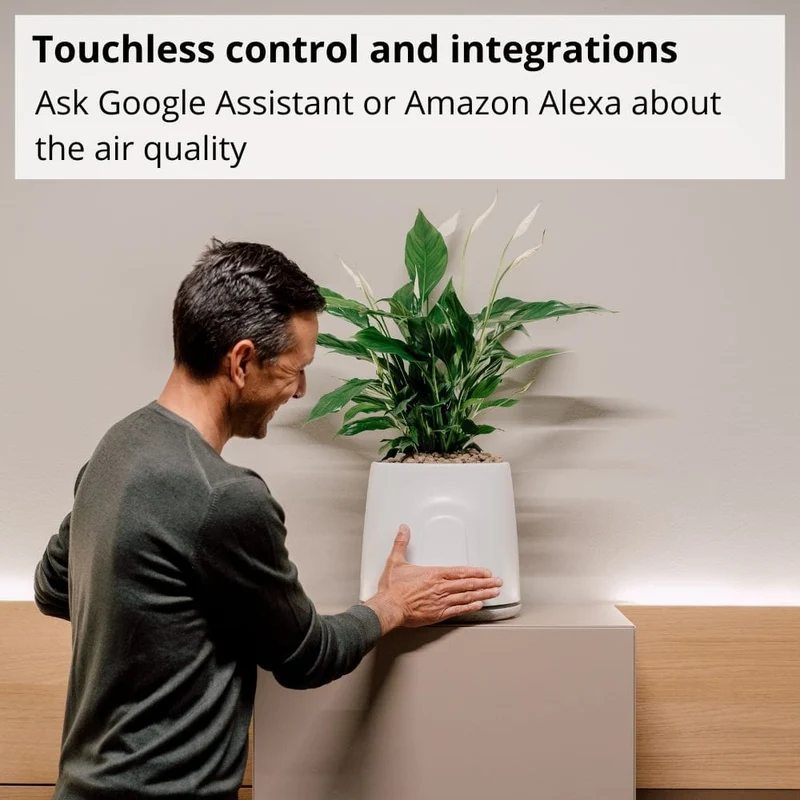 Vitesy Natede Smart Natural Air Purifier And Monitoring System