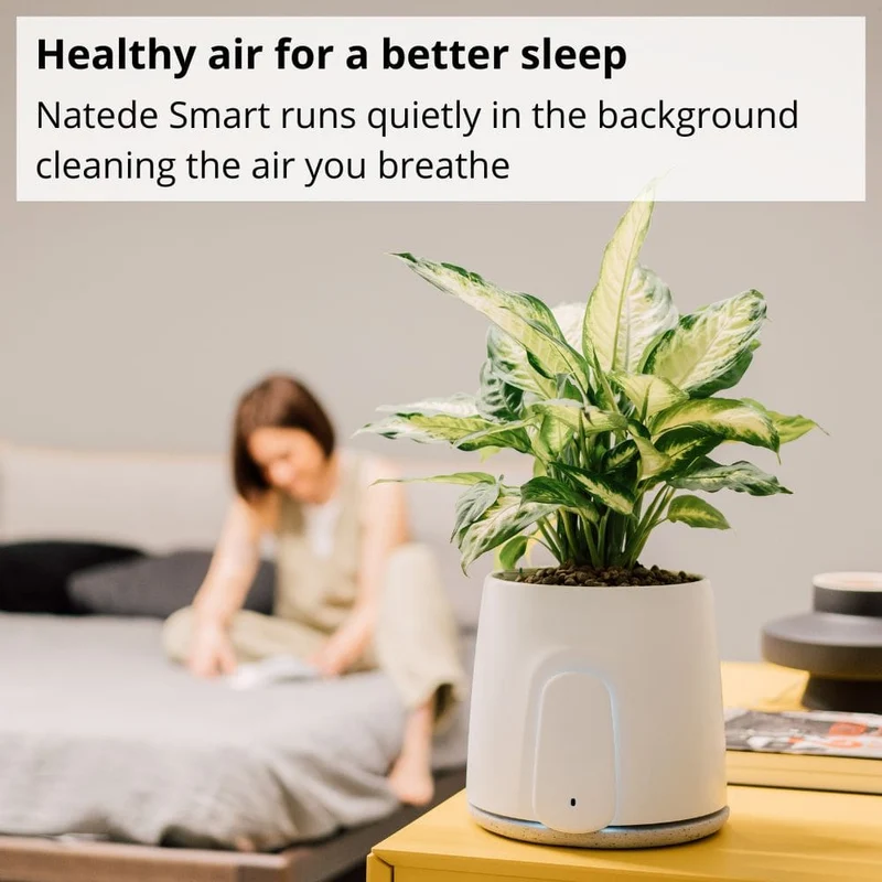 Vitesy Natede Smart Natural Air Purifier And Monitoring System