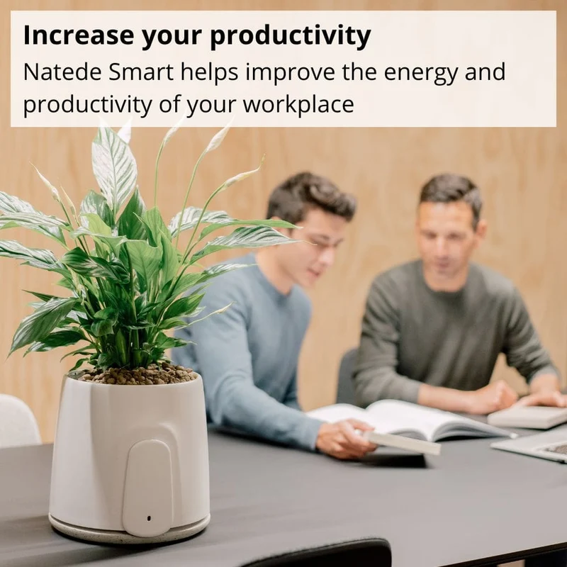 Vitesy Natede Smart Natural Air Purifier And Monitoring System