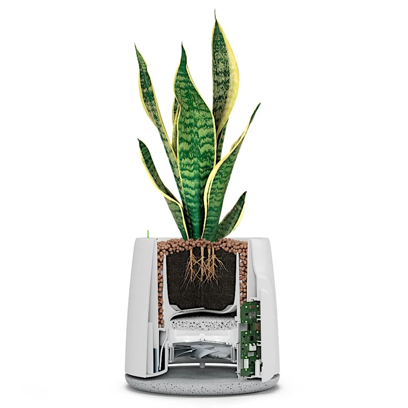 Vitesy Natede Smart Natural Air Purifier And Monitoring System