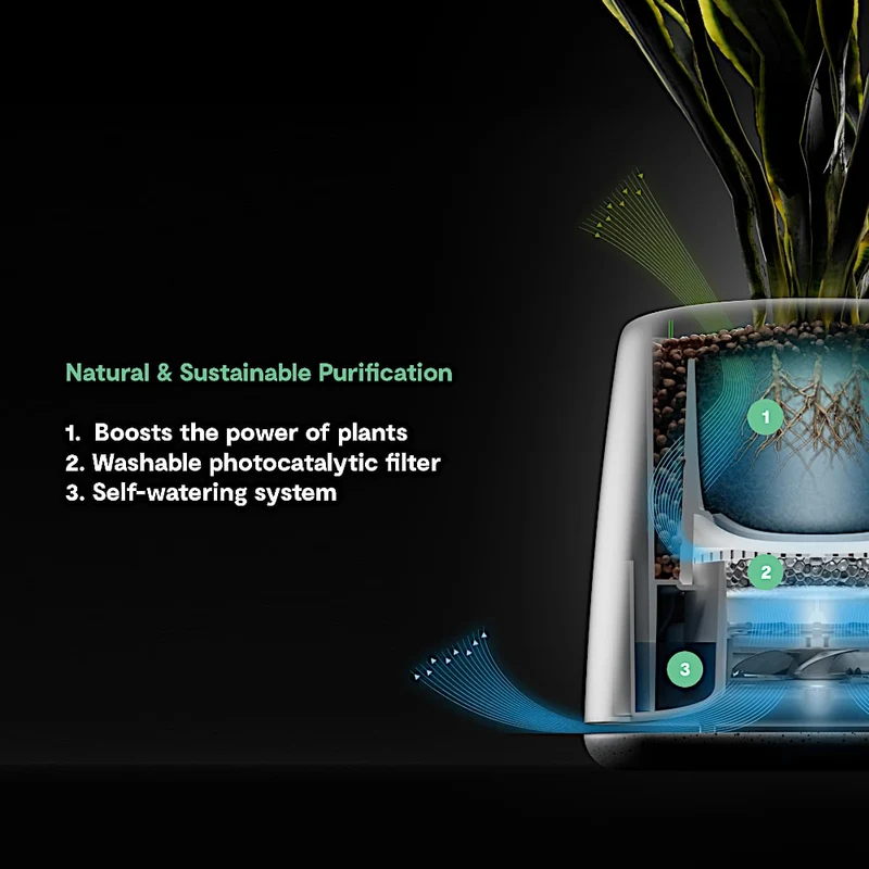 Vitesy Natede Smart Natural Air Purifier And Monitoring System