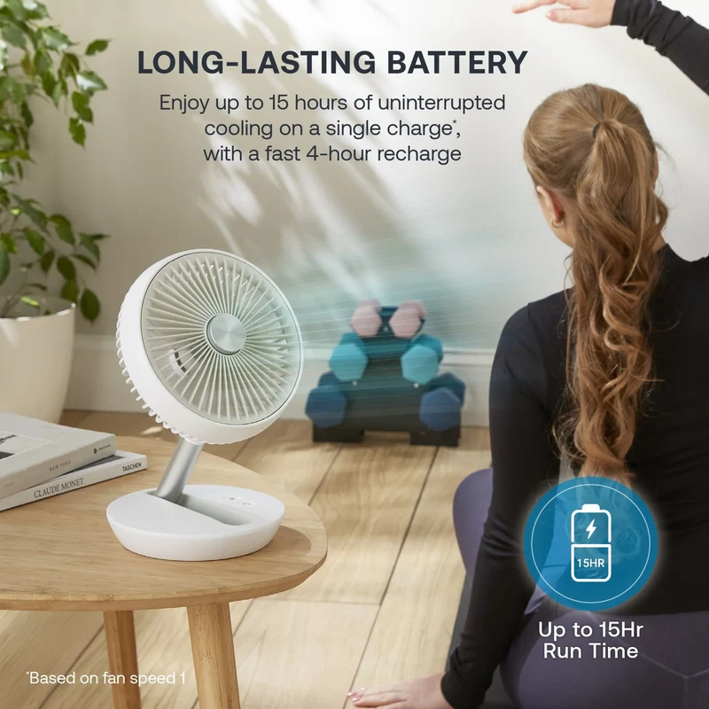Dimplex Rechargeable Cordless Table Fan
