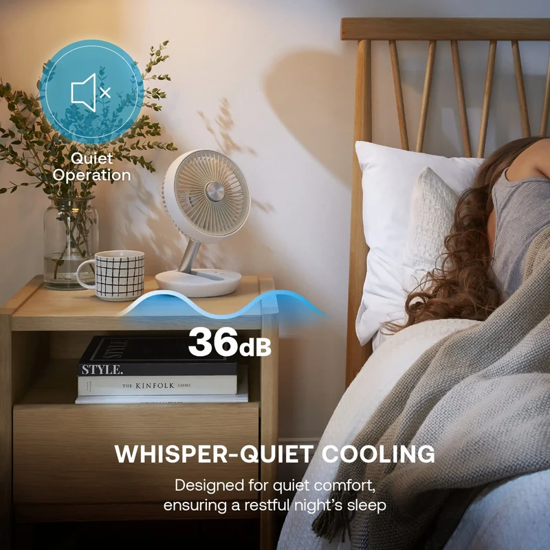 Dimplex Rechargeable Cordless Table Fan