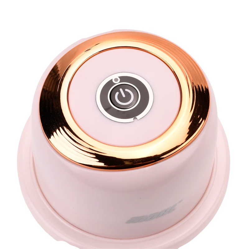 Elektrischer Mini-Knoblauch-Zerkleinerer mit USB-Aufladung, 350ml, 14,5 x 11?cm