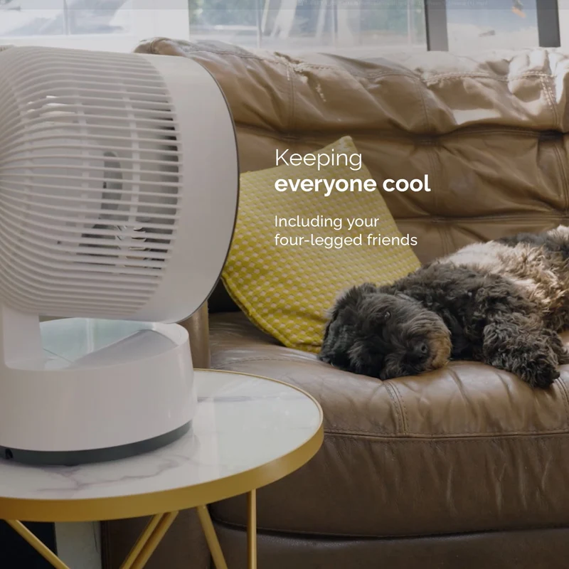 Meaco Sefte® 8" Portable Cordless Fan