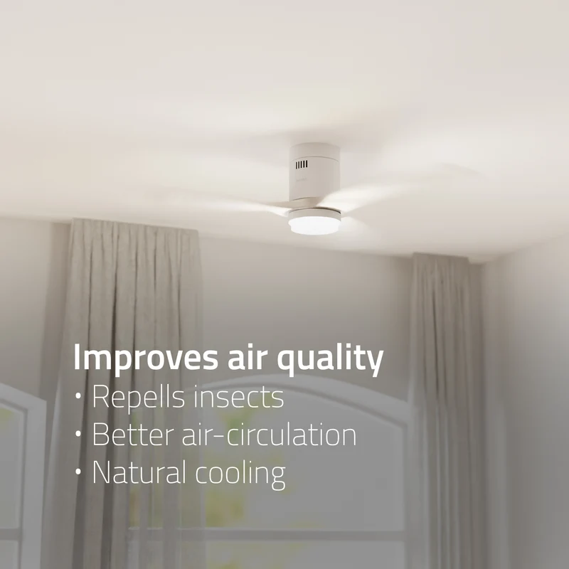 Hombli Smart Ceiling Fan & Light - White & White Wood