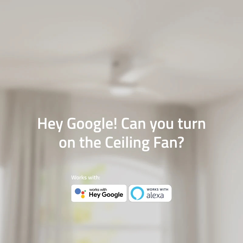 Hombli Smart Ceiling Fan & Light - White & White Wood