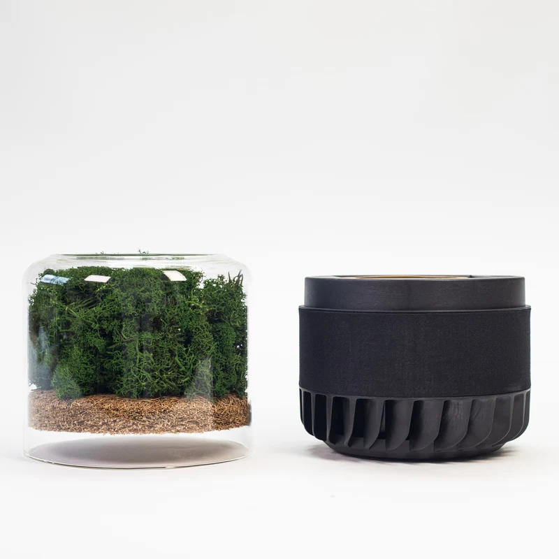 Briiv Reindeer Moss One Year Replacement Filter Set