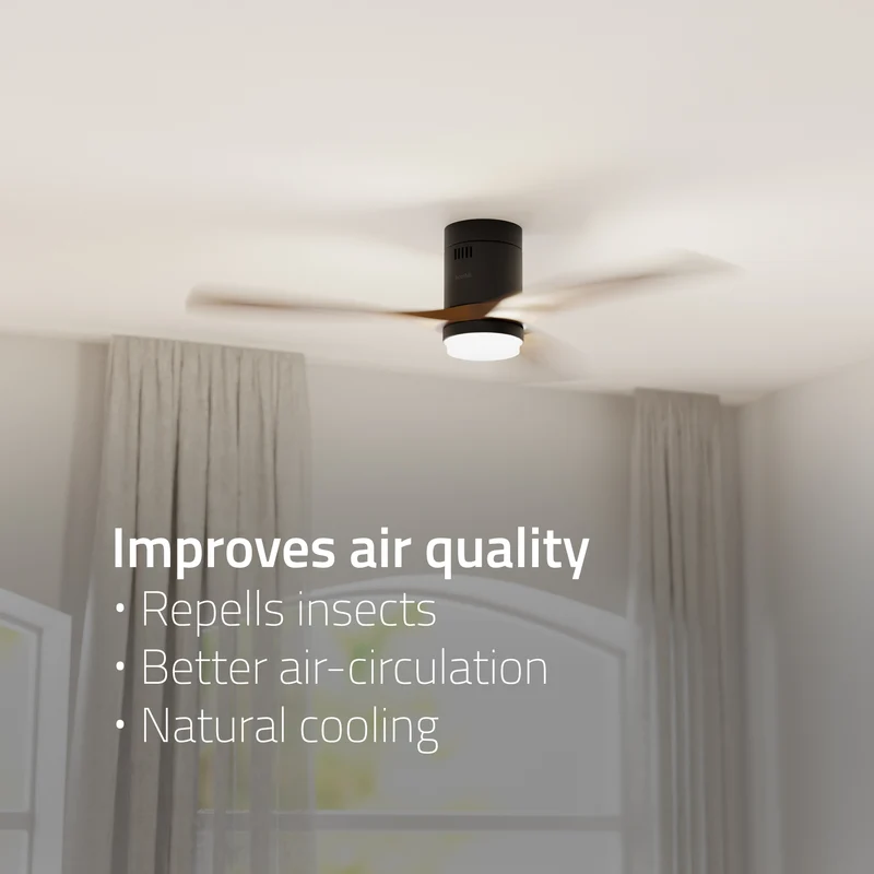 Hombli Smart Ceiling Fan & Light - Black & Dark Wood