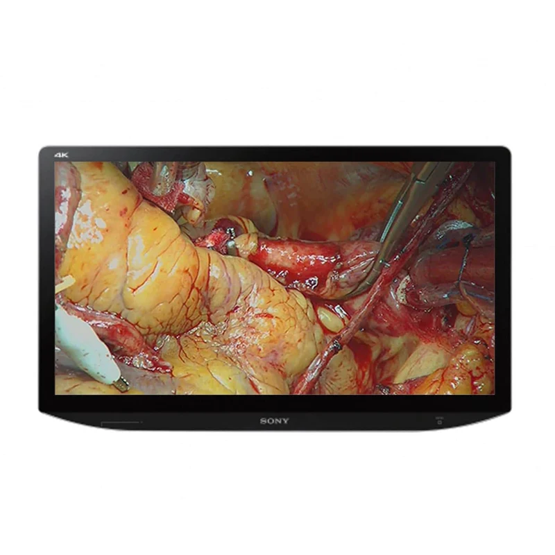 SONY Monitor